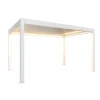 BIOHORT PERGOLA 4.60 X 3.12 M