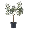 BOLIGINTERIØR OLIVENTRÆ KUNSTIG PLANTE 61 CM