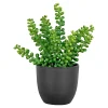 BOLIGINTERIØR SUKULENT KUNSTIG PLANTE 20 CM