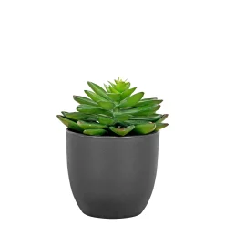BOLIGINTERIØR SUKULENT KUNSTIG PLANTE 15 CM