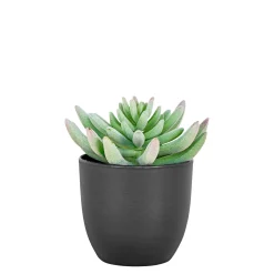 BOLIGINTERIØR SUKULENT KUNSTIG PLANTE 14 CM