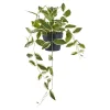BOLIGINTERIØR VOKSBLOMST KUNSTIG PLANTE 33 CM