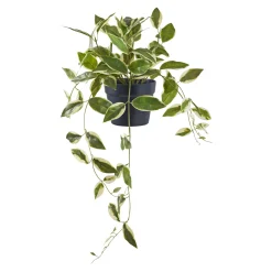 BOLIGINTERIØR VOKSBLOMST KUNSTIG PLANTE 33 CM