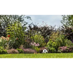 BOSCH GARDENPUMP 18V-2000 HAVEPUMPE