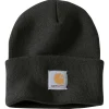 CARHARTT WATCH HAT/A18 HUE SORT OS
