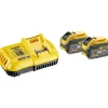 DEWALT DCB118X2 LADER 54V