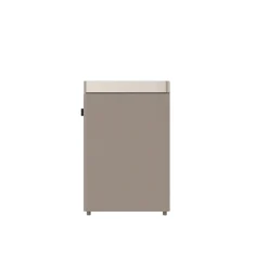ELL PURY PURIFIER GOLDEN LUFTRENSER