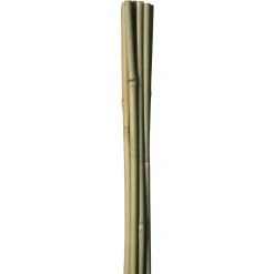 HOME IT GARDEN BAMBUSPINDE 120 CM