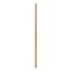 I-WOOD AFSLUTNINGSLISTE EG, HVID OLIE 17 X 67 X 2400 MM