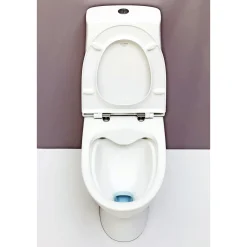 LAUFEN PRO N S-LÅS RIMLESS TOILET