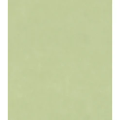 PARAISO 2026 TEKSTIL TAPET 0,53X10,05 M