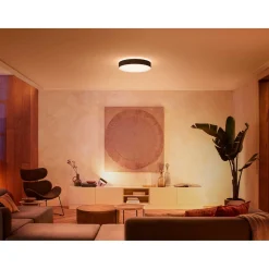PHILIPS HUE WA ENRAVE L PLAFOND 34W SORT 476 MM