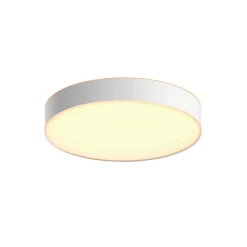 PHILIPS HUE WA ENRAVE L PLAFOND 34W HVID 476 MM