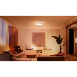 PHILIPS HUE WA ENRAVE L PLAFOND 34W HVID 476 MM