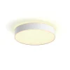 PHILIPS HUE WA ENRAVE M PLAFOND 19W HVID 437 MM