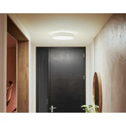 PHILIPS HUE WA ENRAVE M PLAFOND 19W HVID 437 MM