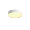 PHILIPS HUE WA ENRAVE S PLAFOND 10W HVID 318 MM