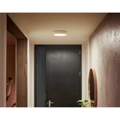 PHILIPS HUE WA ENRAVE S PLAFOND 10W HVID 318 MM