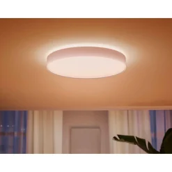 PHILIPS HUE WA ENRAVE XL PLAFOND 48W HVID 600 MM