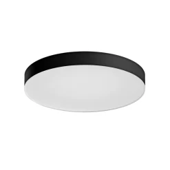 PHILIPS HUE WA ENRAVE XL PLAFOND 48W SORT 600 MM