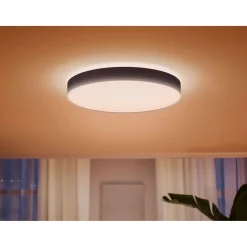 PHILIPS HUE WA ENRAVE XL PLAFOND 48W SORT 600 MM