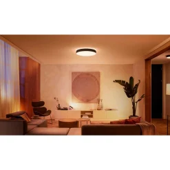 PHILIPS HUE WA ENRAVE XL PLAFOND 48W SORT 600 MM