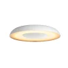 PHILIPS HUE WA STILL PLAFOND 23W HVID 39,1 CM