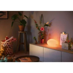 PHILIPS HUE WCA FLOURISH BORDLAMPE HVID 26,1 CM