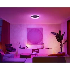 PHILIPS HUE WCA INFUSE PLAFOND 53W SORT 476 MM
