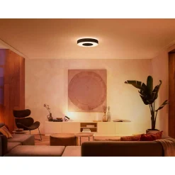 PHILIPS HUE WCA INFUSE PLAFOND 53W SORT 476 MM