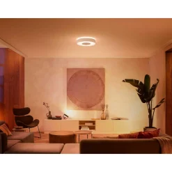 PHILIPS HUE WCA INFUSE PLAFOND 34W HVID 380 MM