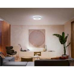PHILIPS HUE WCA INFUSE PLAFOND 34W HVID 380 MM
