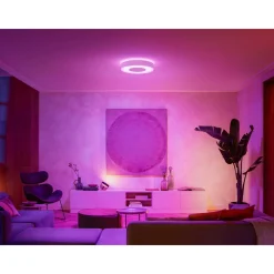 PHILIPS HUE WCA INFUSE PLAFOND 53W HVID 476 MM