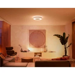 PHILIPS HUE WCA INFUSE PLAFOND 53W HVID 476 MM