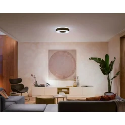 PHILIPS HUE WCA INFUSE PLAFOND 34W SORT 437 MM