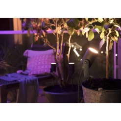 PHILIPS HUE WCA LILY BASIS SPOTLAMPE SORT INTEGRERET LED 8W