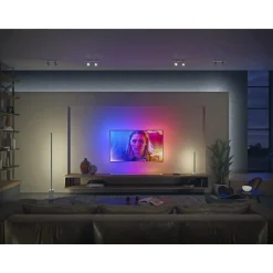 PHILIPS HUE WCA WCA BORDLAMPE HVID 55,3 CM