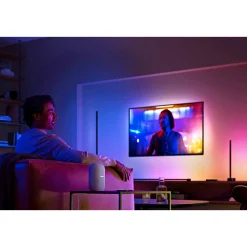 PHILIPS HUE WCA WCA BORDLAMPE SORT 55,3 CM