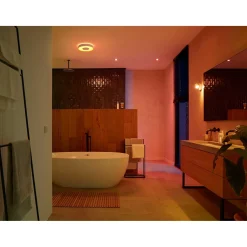 PHILIPS HUE WCA XAMENTO PLAFOND 34W HVID 437 MM