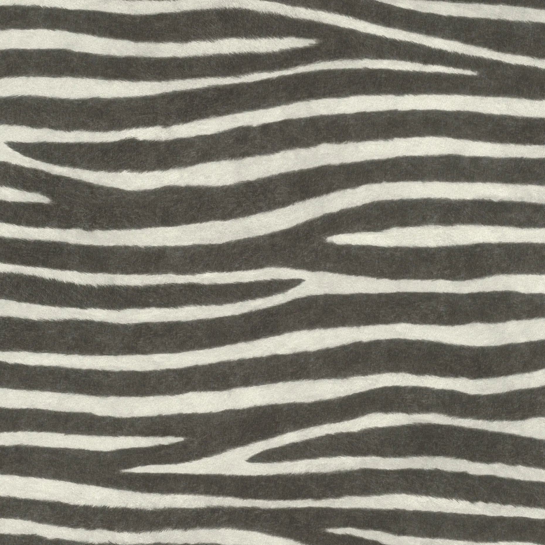 RASCH STUDIO 2027 ZEBRAPELS TAPET 0,53X10 M