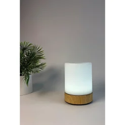VELI LINE MOOD LIGHT GENOPLADELIG BORDLAMPE MULTI